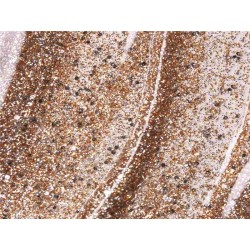 ESMALTE ANDREIA G37 NO SOLVENTS